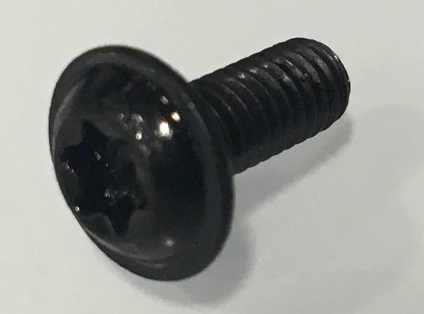 F00128-00 M4 x 10mm Pan Head T20 Torx Steel Bolt (qty x10)